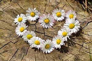 love yourself